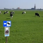 Hotelhuisjes Medemblik 비어링거워프