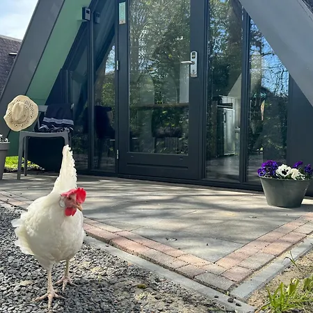 Hotelhuisjes Medemblik 3* Wieringerwerf