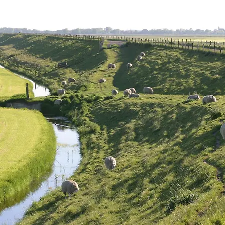 Hotelhuisjes Medemblik 비어링거워프