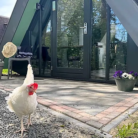 Hotelhuisjes Medemblik 3* Wieringerwerf