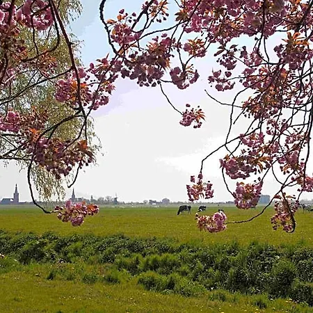 Hotelhuisjes Medemblik 3*