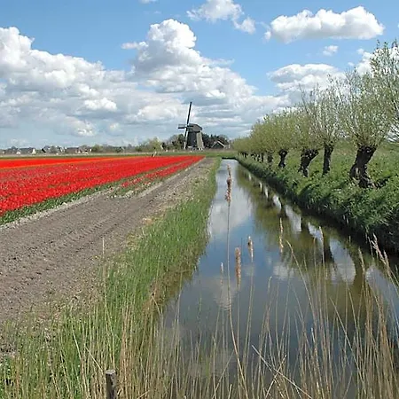 Hotelhuisjes Medemblik 3*