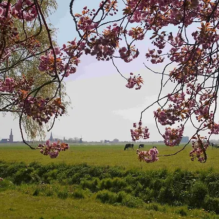 Hotelhuisjes Medemblik Wieringerwerf