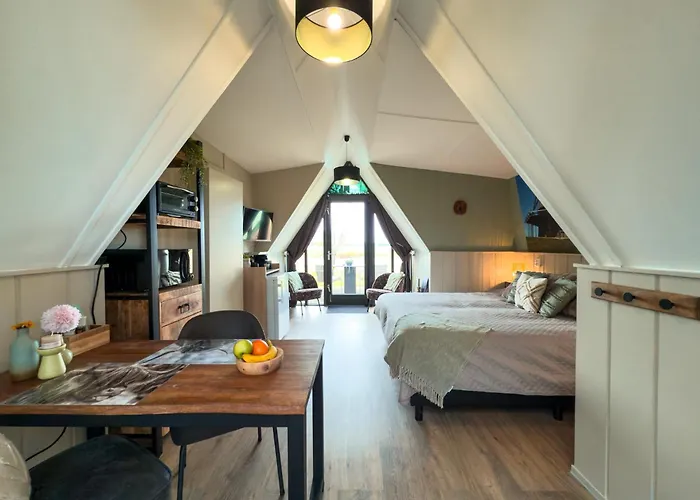 Hotelhuisjes Medemblik 维灵厄韦夫