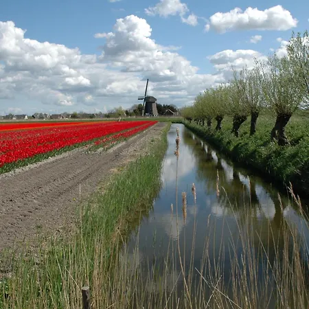 Hotelhuisjes Medemblik